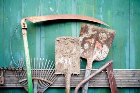 How to Clean and Repair Garden Tools Image